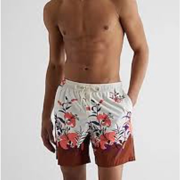 Express - Printed Border 6" Elastic Waist Swim Shorts Neutral - Picture 1 of 2